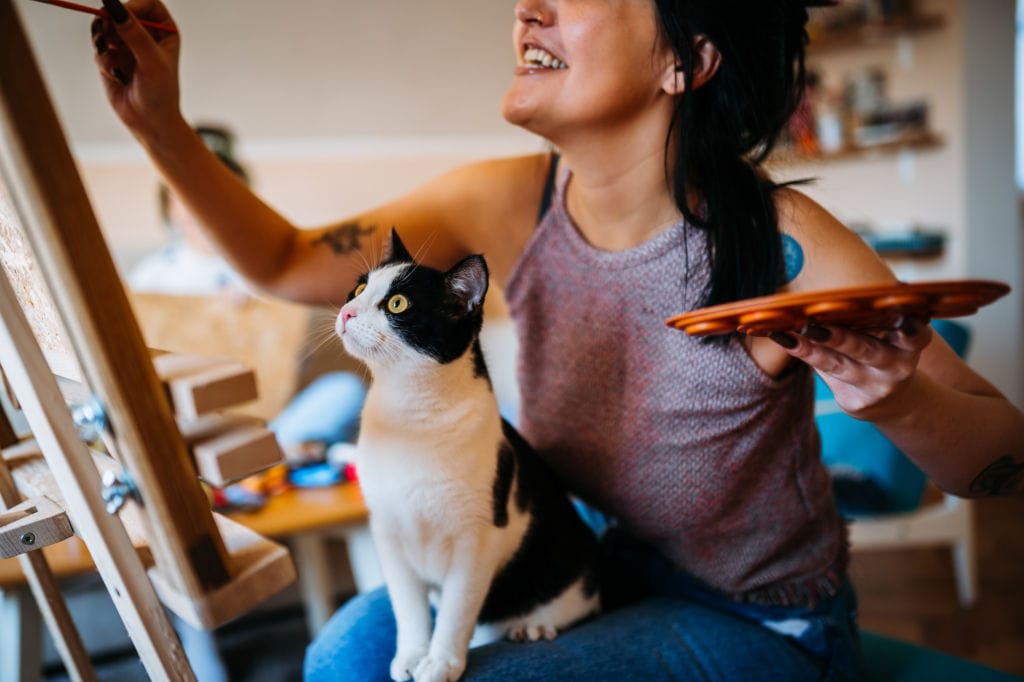 How Much Do Hairless Kittens Cost
