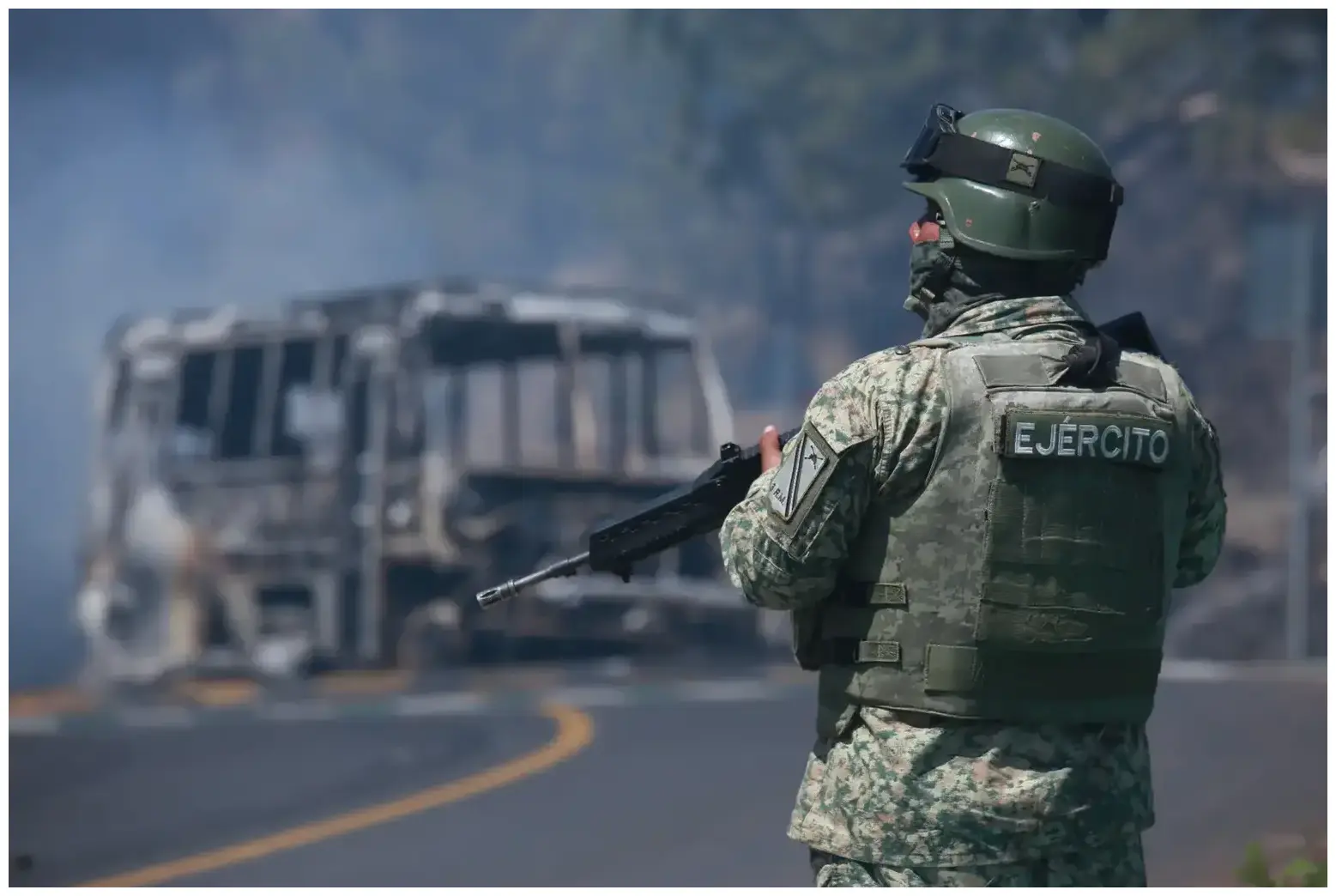 Heartwarming: 7 Amazing Reasons to Adopt a 15-Year-Old Cat