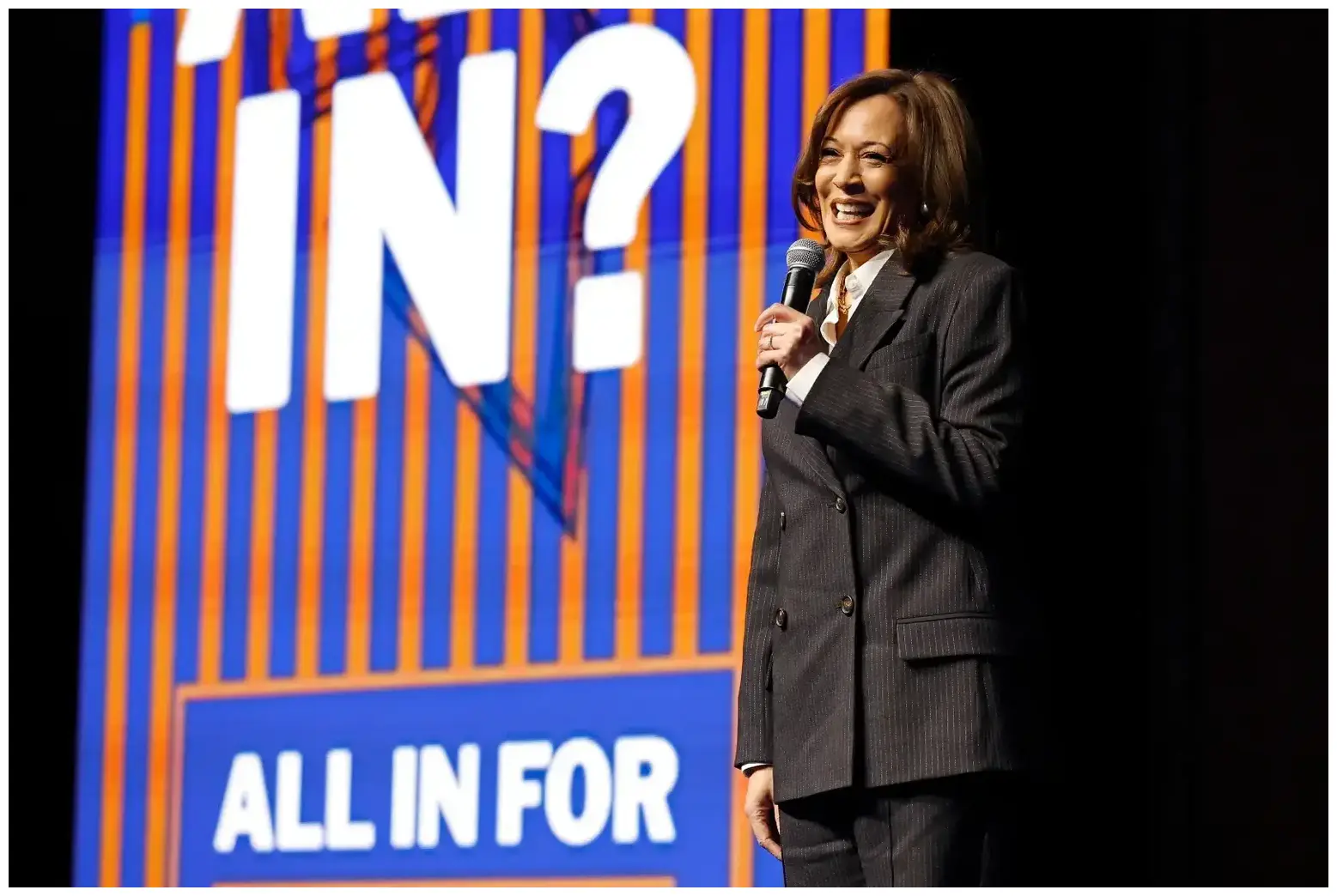 Tears As 15-Year-Old Cat in Shelter After Owner Can No Longer Care for Him - Newsweek