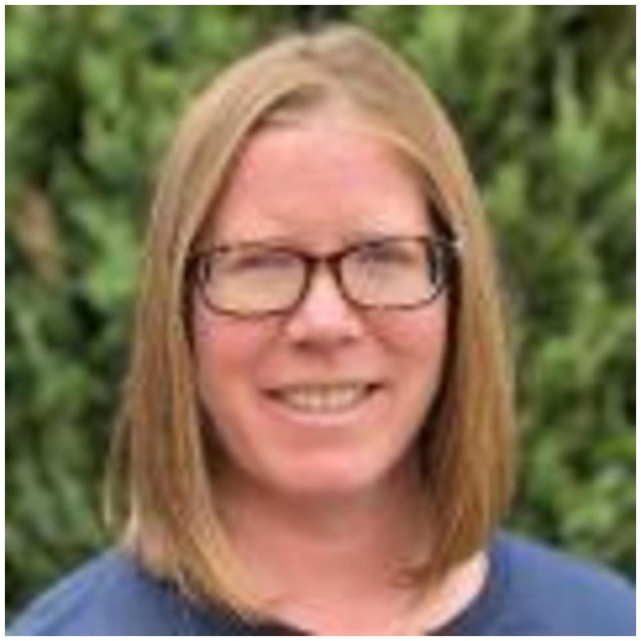 Amazing Ways to Adopt Stray Cat Alan: 7 Tips for a Loving Home