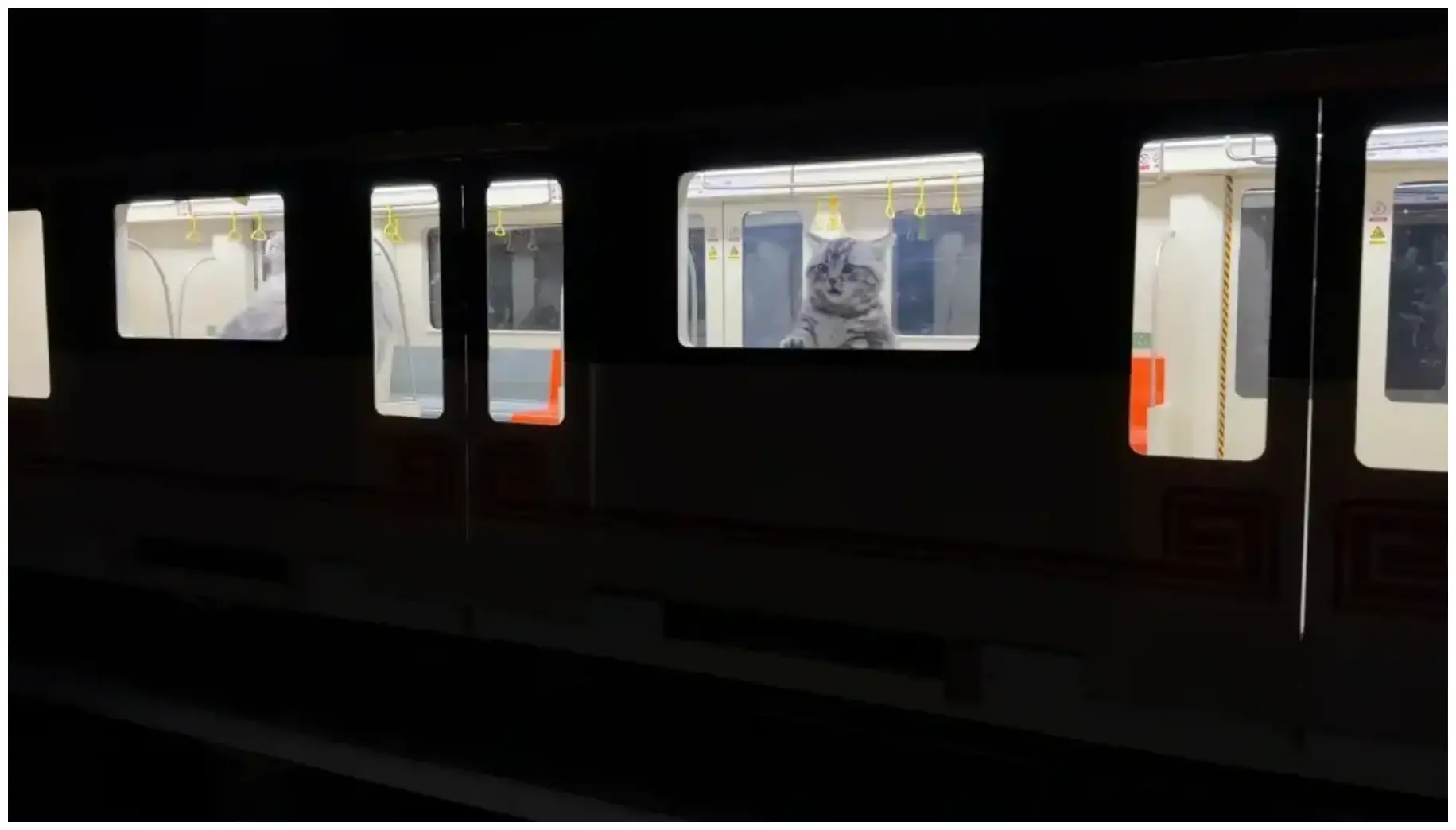 Amazing Cat Built City Subway Station: 7 Epic Ways to Spoil Your Feline Friend