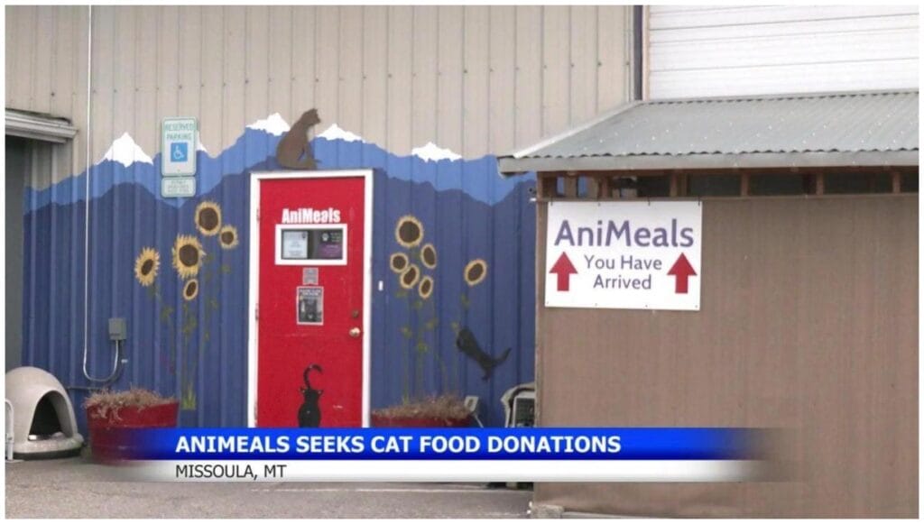 7 Essential Ways to Support Cat Food Donations in Missoula