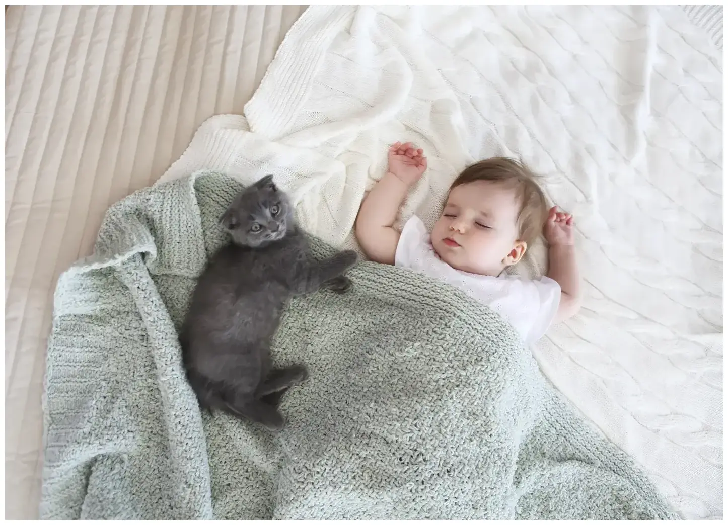 Cat Meets Newborn Baby—Parents’ Reaction Has Internet Crying - Newsweek