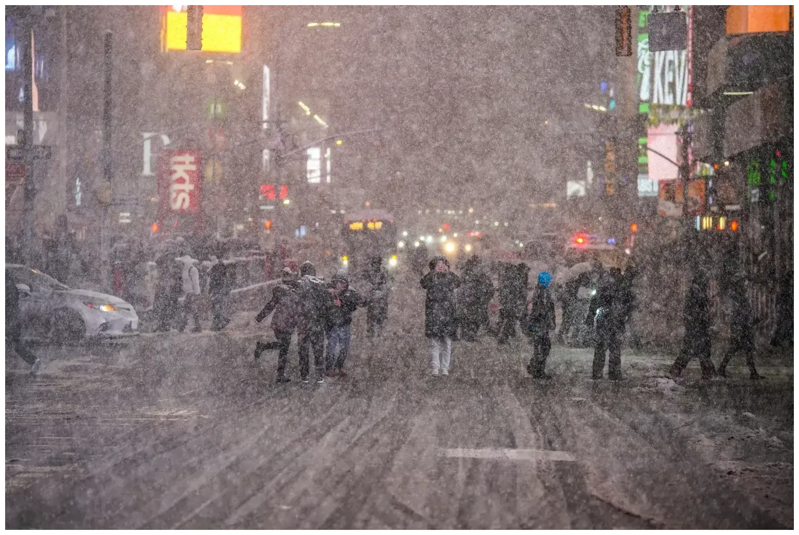 Heartbreaking: 10 Cats Abandoned in Snow Found in Box – An Urgent Shelter Message