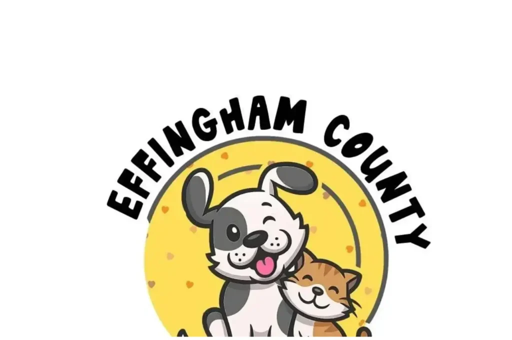 7 Essential Ways to Help: Effingham Cat Fosters Needed Now