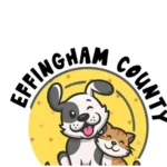 7 Essential Ways to Help: Effingham Cat Fosters Needed Now