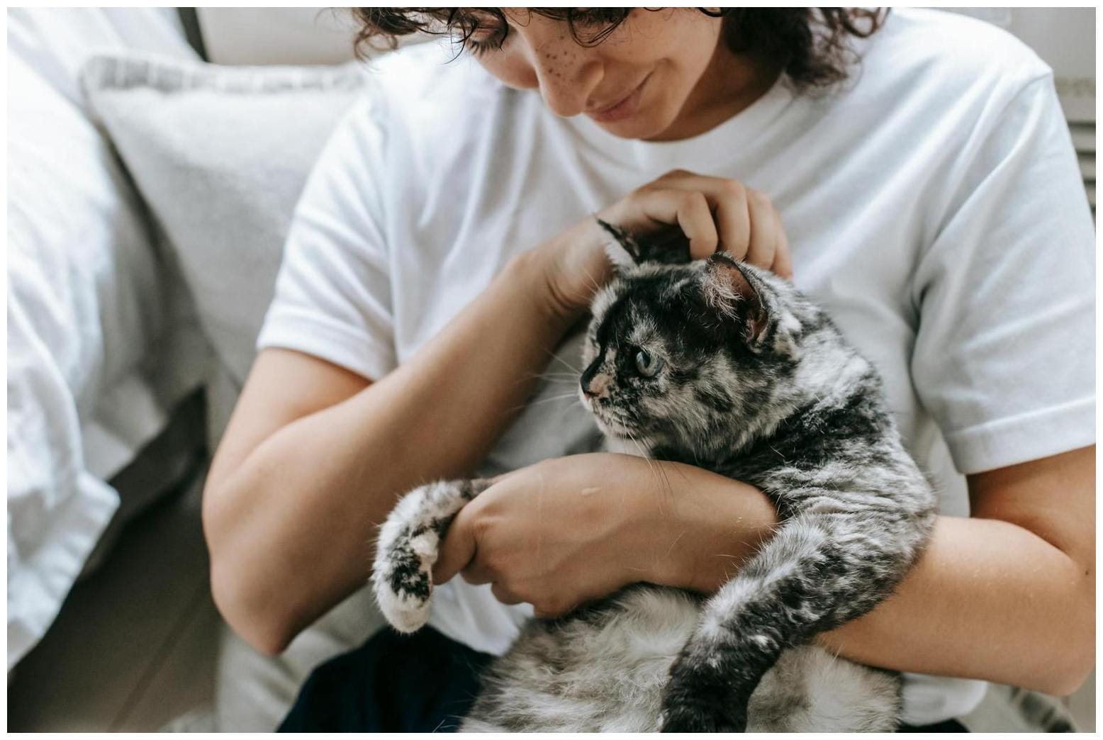 First-Time Cat Dad’s Reaction to Kittens Melts Hearts: ‘Now What’ - Newsweek