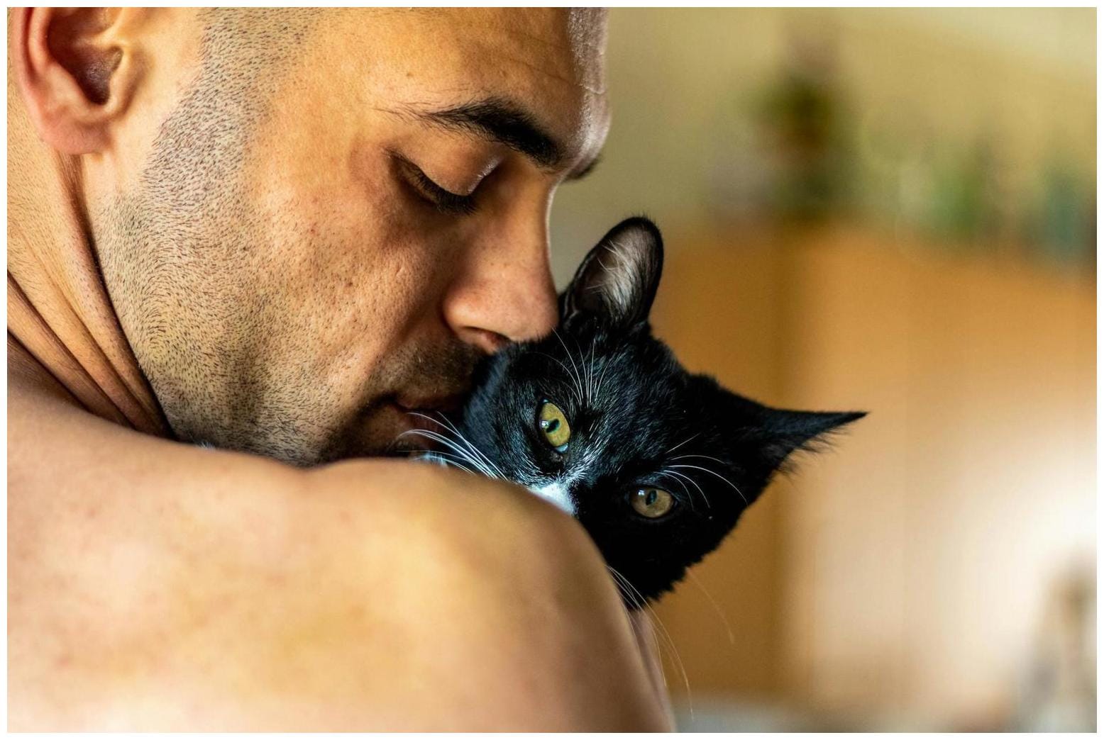 Ultimate First-Time Cat Dad’s Reaction to Kittens Guide: 7 Proven Tips