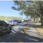 7 Amazing Perks of Free Spay Neuter Cats Programs in Camden County