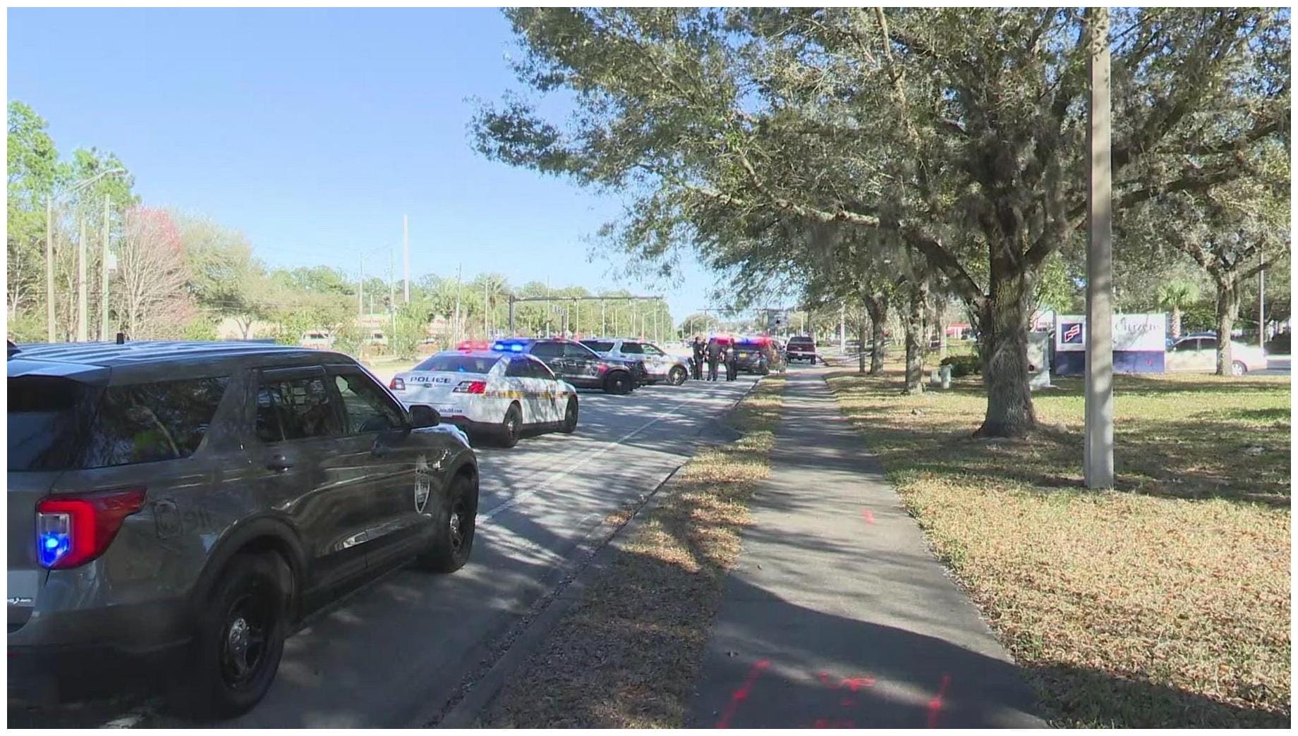 7 Amazing Perks of Free Spay Neuter Cats Programs in Camden County