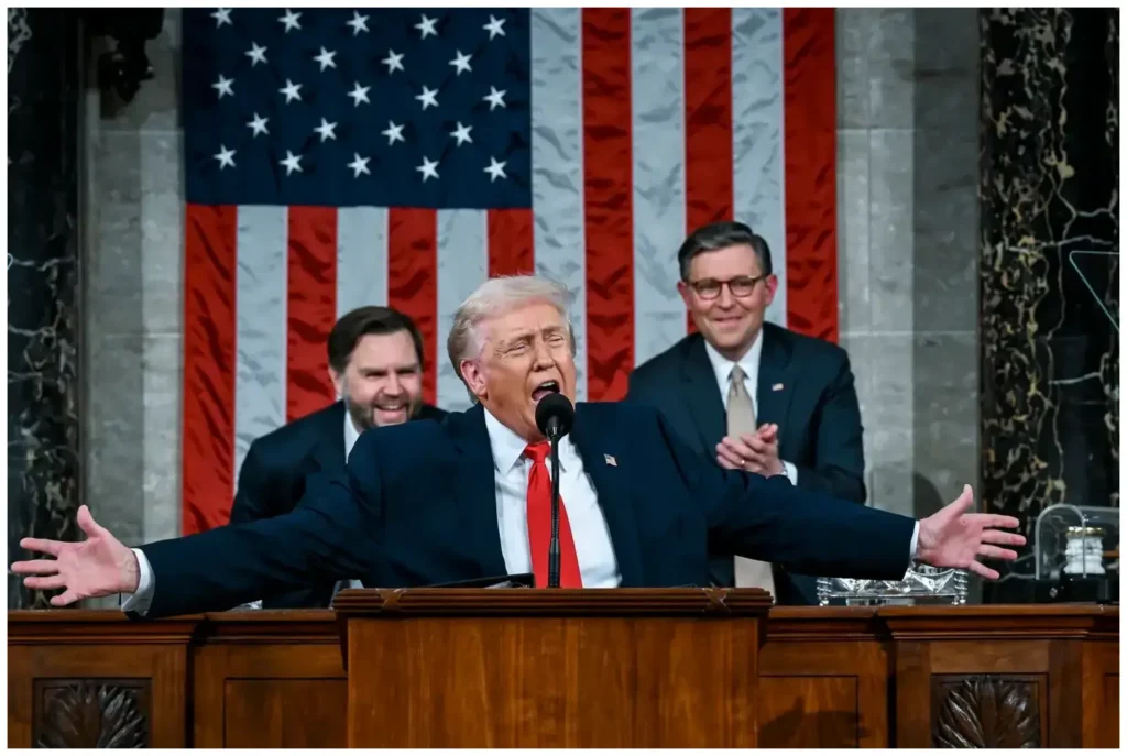 Ultimate Kitten Sleep Training Routine: 7 Proven Steps for Peaceful Nights