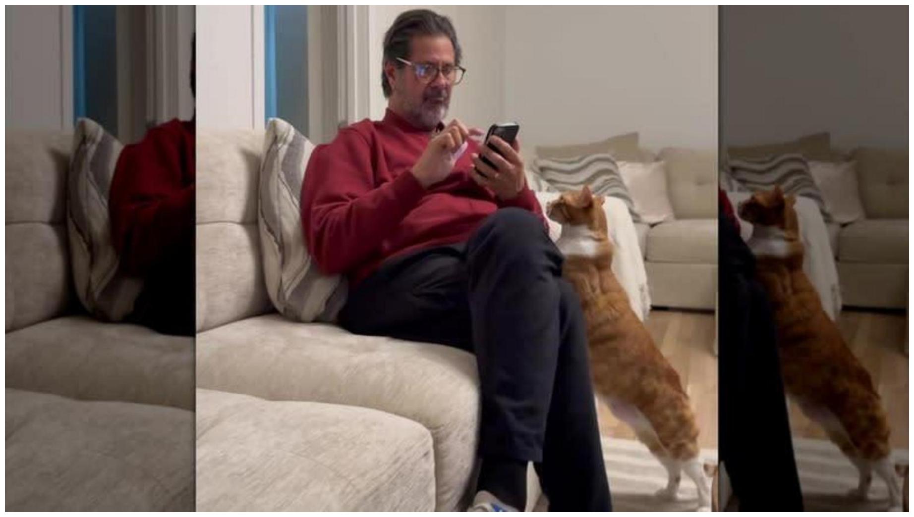 Orange-And-White Cat Never Stops Begging For Grandpa's Love And It's Melting Hearts - AOL.com