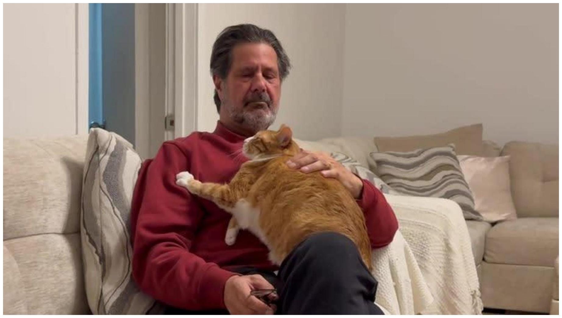 The Amazing Orange Cat Begs Grandpa: 7 Heartwarming Secrets