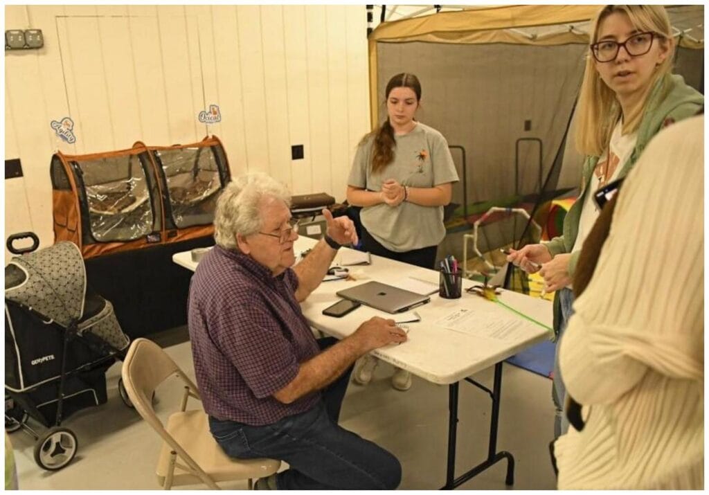 7 Rare Cat Breeds Show Secrets Every Modern Cat Parent Must Know