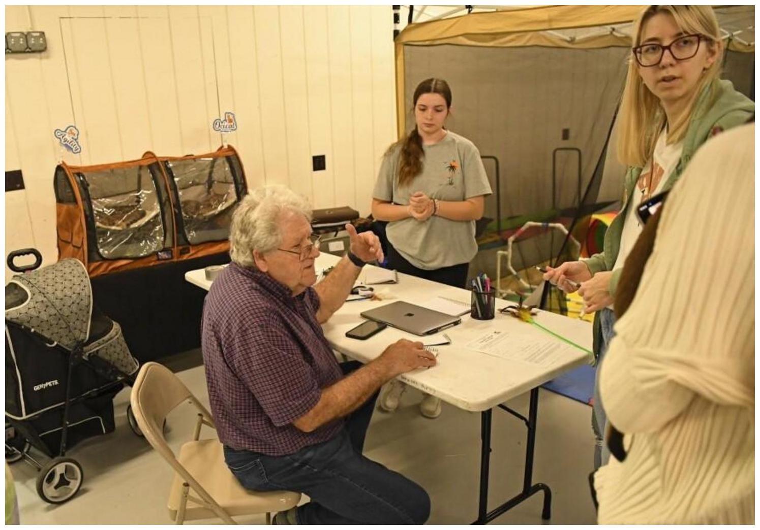 7 Rare Cat Breeds Show Secrets Every Modern Cat Parent Must Know