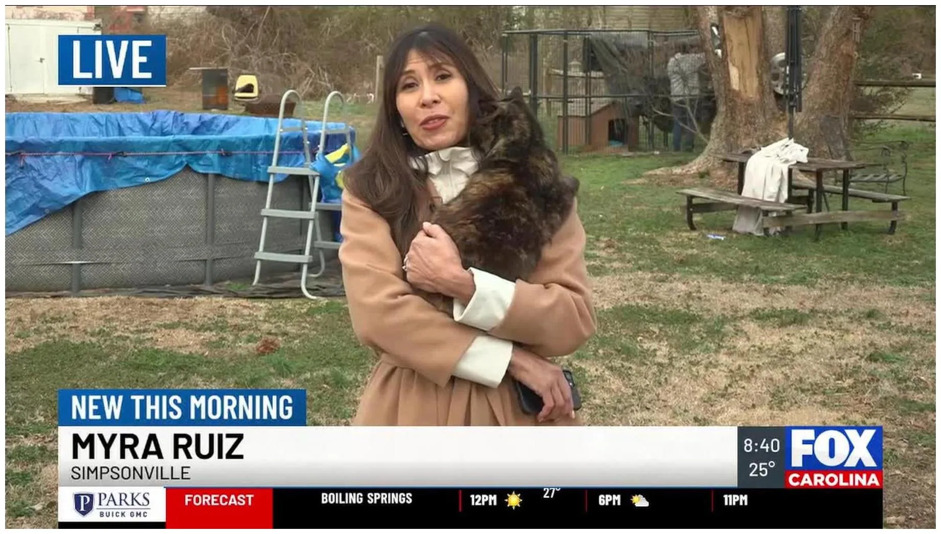 Amazing Impact: Spay and Neuter 500 Feral Cats This Weekend!