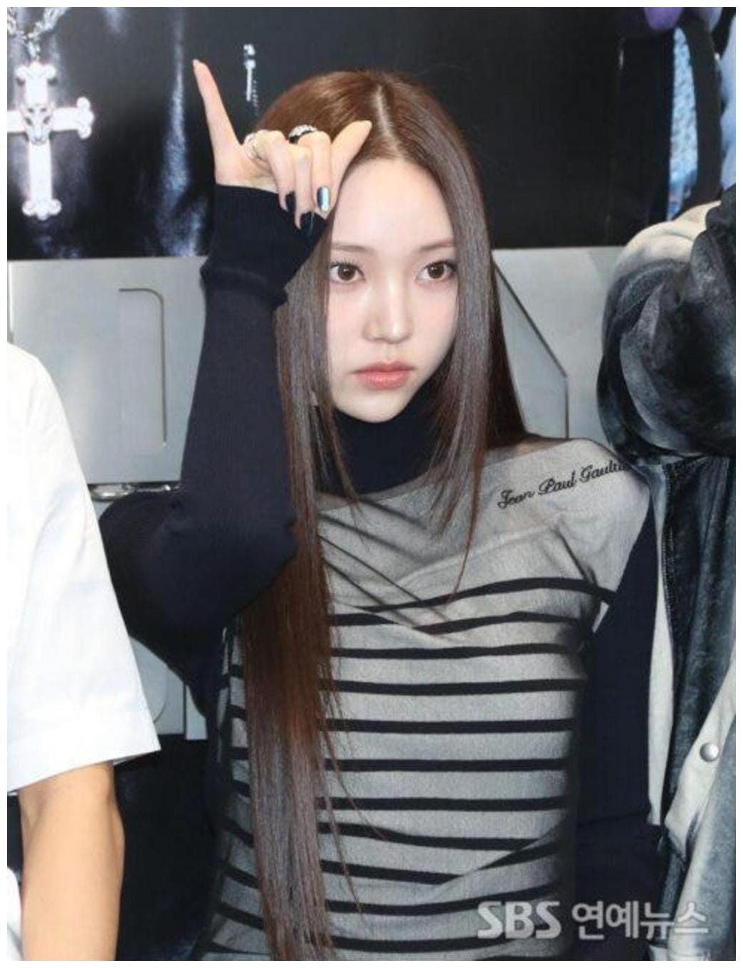 Youngseo's Purebred Cat Purchase: 5 Essential Insights for Cat Parents