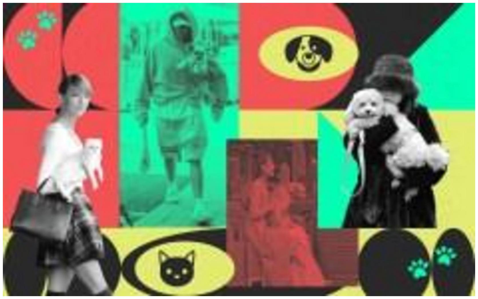 Doechii Cat Controversy: Why Some Owners Disagree with Her Criticism