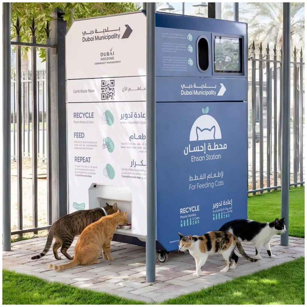 Ultimate Guide to Dubai Abandoned Pets Cats: Understanding the Crisis
