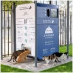 Ultimate Guide to Dubai Abandoned Pets Cats: Understanding the Crisis