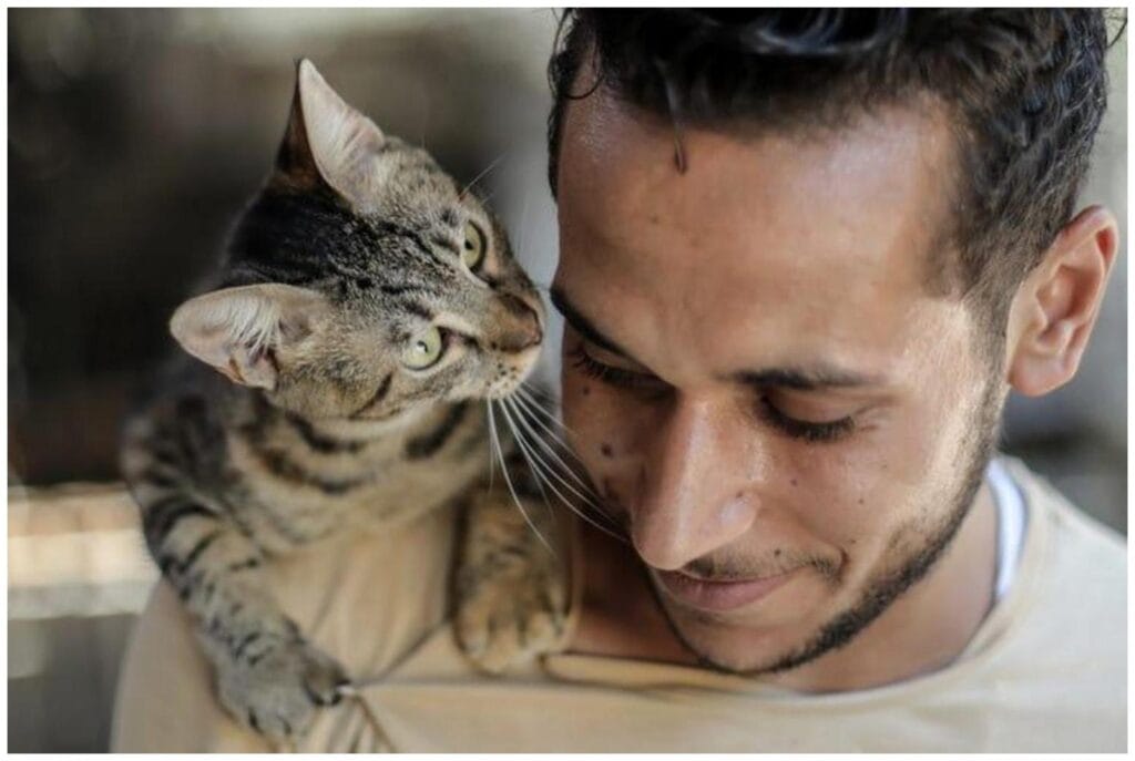 Gen Z Cat Adoption Soars: Understanding Modern Pet Parent Trends